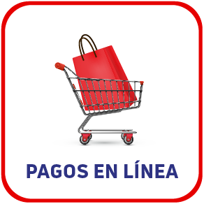 Pagos en linea